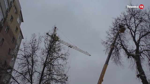 В историческом центре Владимира спиливают 150-летний вяз смотреть онлайн