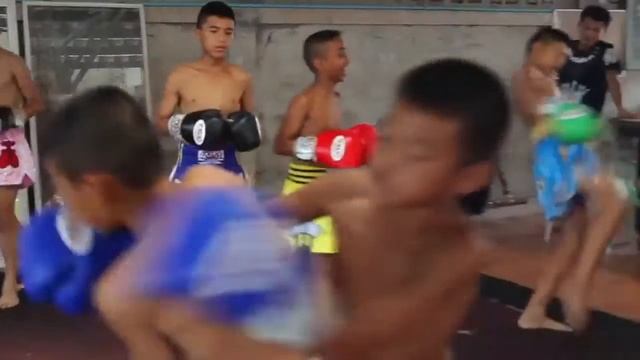 Муай Тай-тренировки в Тайланде смотреть онлайн
