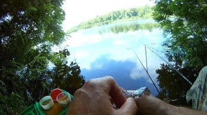 Рыбалка летом  Когда ЛУЧШЕ клюёт рыба