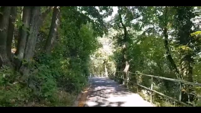 Lets have a #long walk #hiking with ateko смотреть онлайн