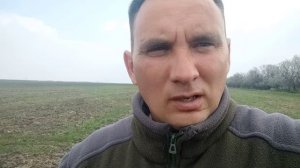 Сей овёс в грязь, будешь князь.| всходы костреца безостного.