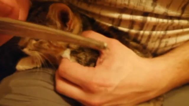 Мастерство в Дизайне