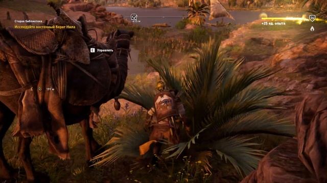 Assassins Creed Origins ИСТОКИ ПРОХОЖДЕНИЕ НА РУССКОМ КОШМАР 4K #27 Фанатики Селкет смотреть онлайн