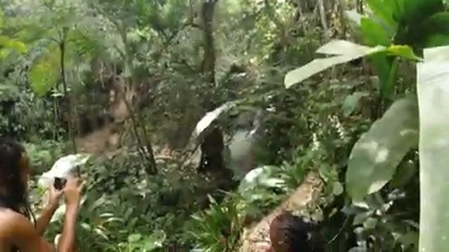 Saint lucia hidden waterfall hike - eps 8 смотреть онлайн