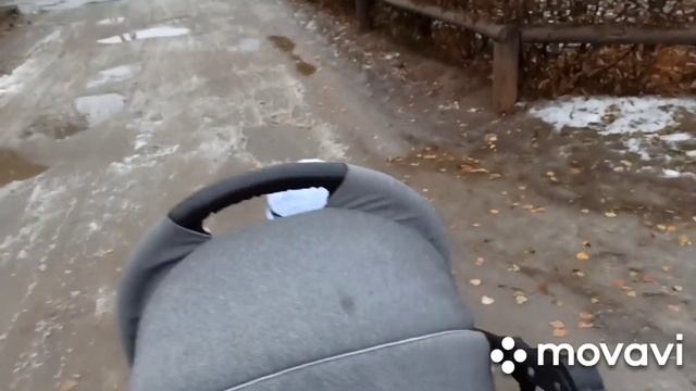 Ремонт в доме, гололёд, красота сухоцветов в саду. смотреть онлайн