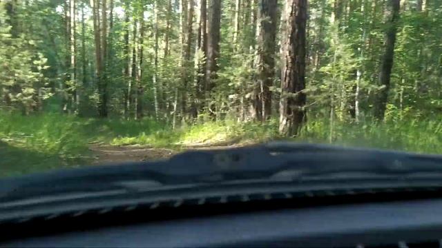 лесная дорога от озера Бараус смотреть онлайн