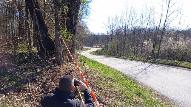 WRC Croatia 2022 test, Adrien Fourmaux, Ford puma rally1 смотреть онлайн