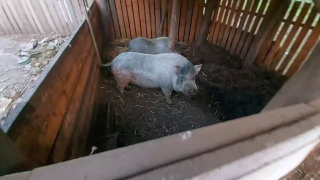 столько всего сделано, душа радуется ???? смотреть онлайн