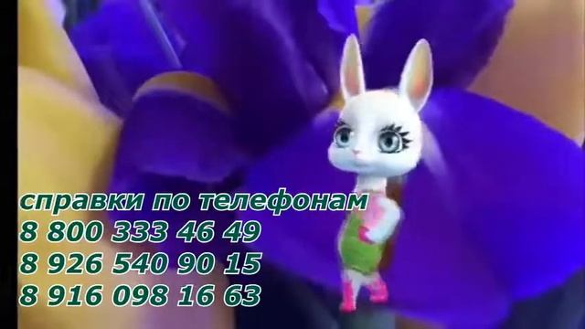 8 марта приглашение смотреть онлайн