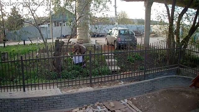 Воровство тюльпанов! смотреть онлайн