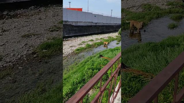 ТУАПСЕ дорога от дома до моря смотреть онлайн