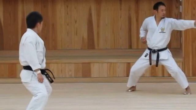 Makita-sensei demonstrating kata Bassai-dai смотреть онлайн