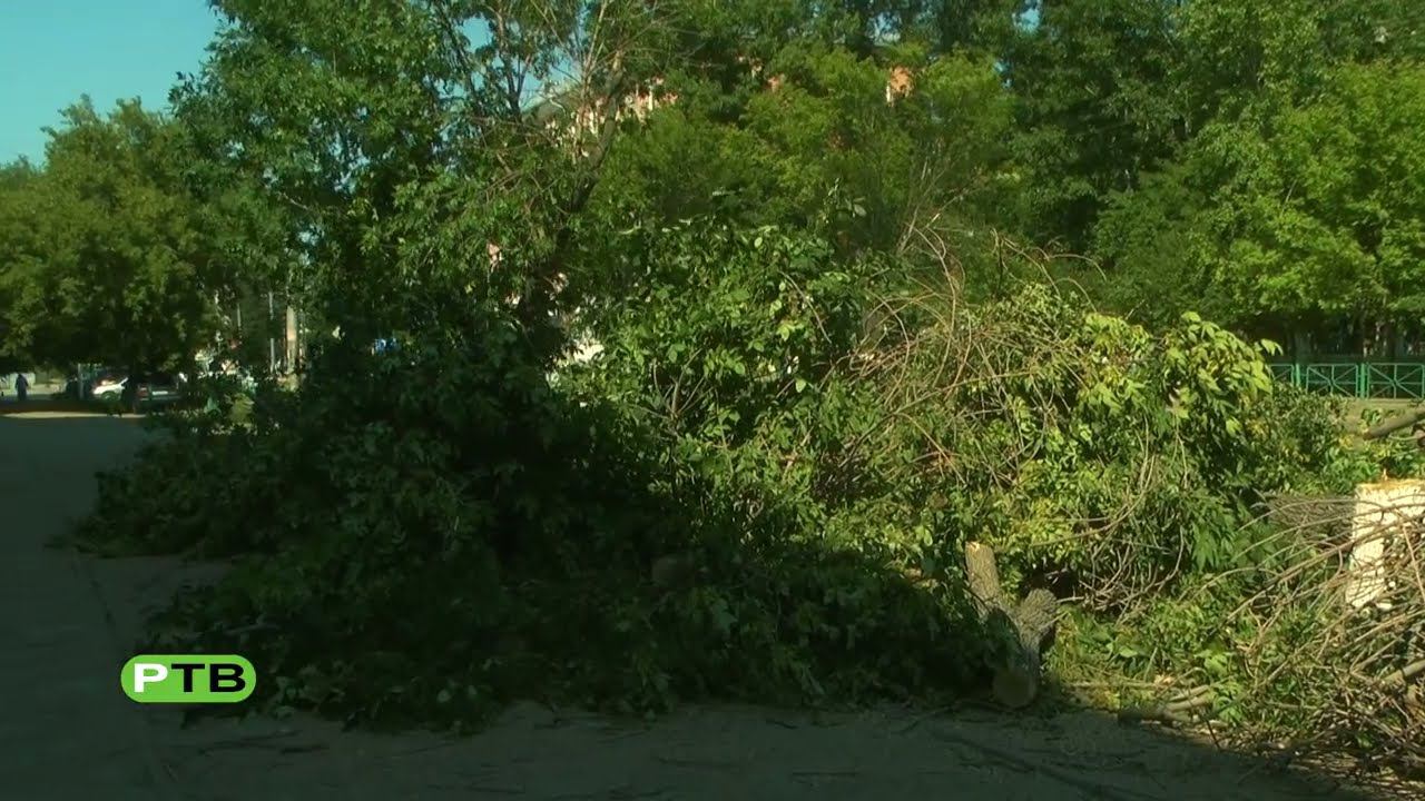 Отшумел тот клён смотреть онлайн