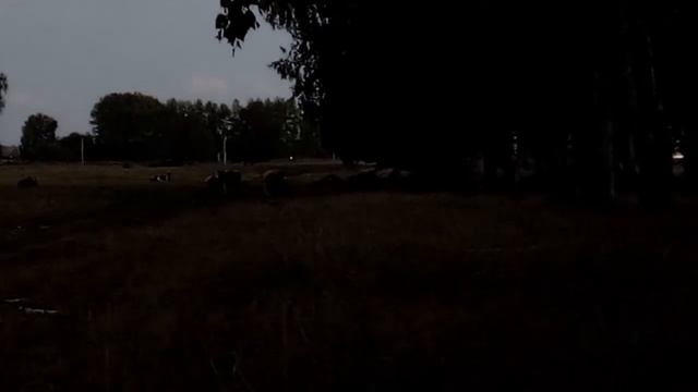 деревенская жизнь ВЫПАС КОРОВ УЖЕ 3 Й ДЕНЬ смотреть онлайн