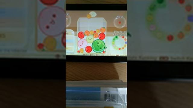 Suika Game Watermelon Score Over 3000 Points