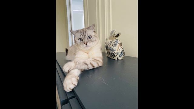 Сказка на ночь. смотреть онлайн