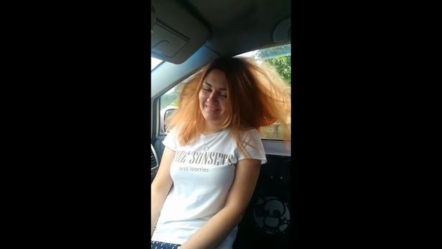 DL Audio Phoenix 15. Полный обзор, от А до Я