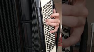 Расположение нот в левой клавиатуре на баяне и аккордеоне. Краткий и доступный обзор для начинающих