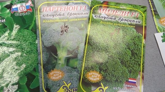А брюссельскую, пекинскую выращивать будем ? смотреть онлайн