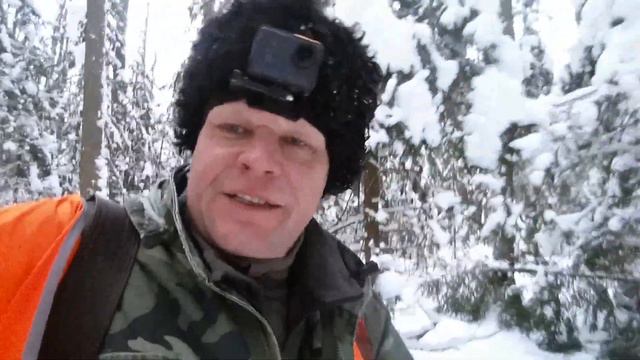 Охота на лося смотреть онлайн