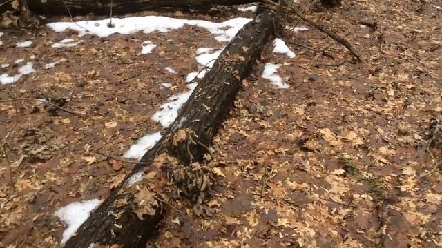 "Нашёл еврей КЛАД!!! а там не хватает..." Несколько кг. монет! КОП МОНЕТ-БОЛЬШОЙ КЛАД МЕДИ! Фильм10 смотреть онлайн