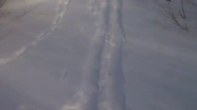 Ч2ая рассказ про кабаргу ? смотреть онлайн