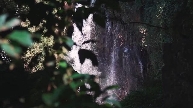 СТАЯ КОШЕК лежала вокруг странного свёртка! Полицейский обомлел обнаружив в нём МЛАДЕНЦА смотреть онлайн