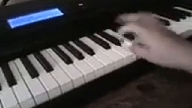 Sample Busy boy - Casio ctk 5000 смотреть онлайн