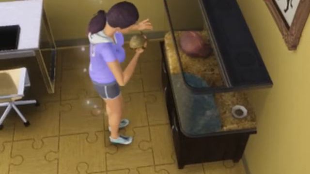 The sims 3 zwierzaki - Żółw смотреть онлайн