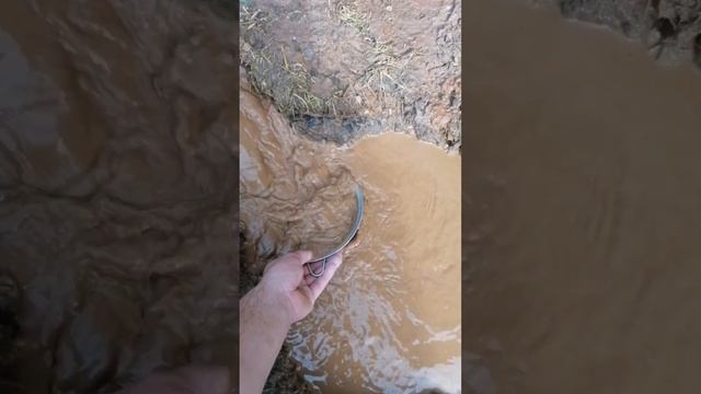 Абиссинская скважина Рузский район смотреть онлайн