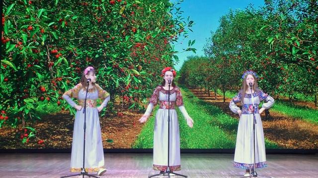 Заявка 1411/2 #21. Трио "Красны девицы" смотреть онлайн