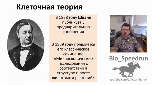 1 Строение и деление клеток животных (Speedrun зоология 7 класс, ЕГЭ, ОГЭ 2021) смотреть онлайн
