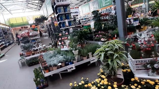 В ГОРОДЕ ОДНИ ОЛИГАРХИ! ИХ ТРАМВАЙ по 25 руб! Дешевле содержать машину! смотреть онлайн