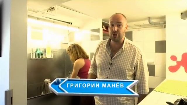 Пудель. Планета собак ? Моя Планета смотреть онлайн
