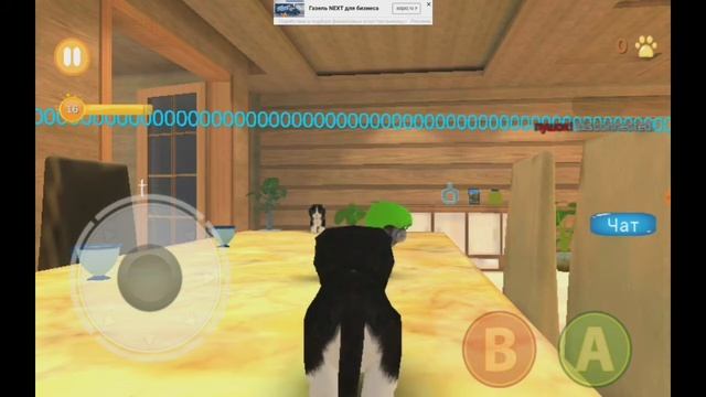 реакция игроков на 2 длинных ника в Kitten Cat Simulator 3D