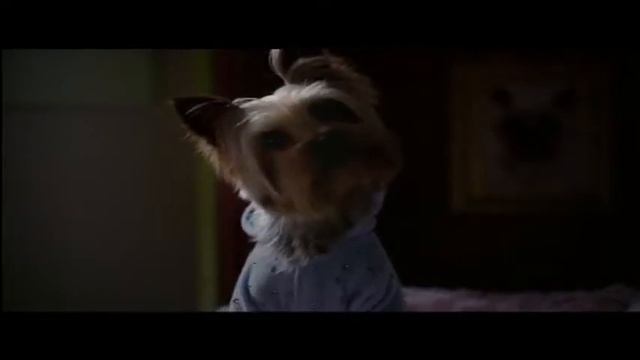 Mehpara Najafova - Sharpay's Fabulous Adventure. Azerbaijani trailer смотреть онлайн