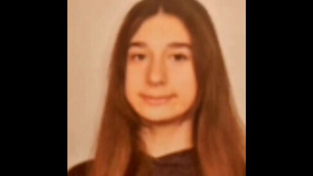 On May 3, 2023, student Kosta Kecmanović killed 9 students and one security guard in Serbia. смотреть онлайн