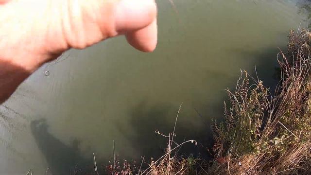 ЛОВИМ BIG FISH 4. В лес коряг за крупным карпом, нет 100% уверенности в поимке, но эмоций на ВСЕ 20 смотреть онлайн