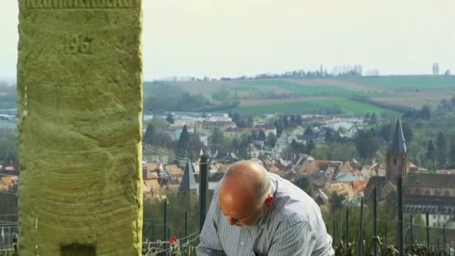 WASGAU Weinkeller смотреть онлайн