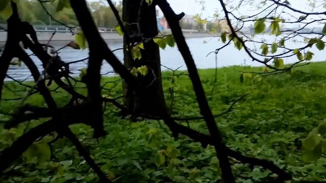 VID 1653607626749 Я был в духе в день воскресный... ( Н. Клюев)... Павел Васильев Лахтинский смотреть онлайн