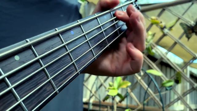 Voyage Into Eternity - Valhalore | Bass Playthrough | Joseph Dipisa-Fiorenza смотреть онлайн