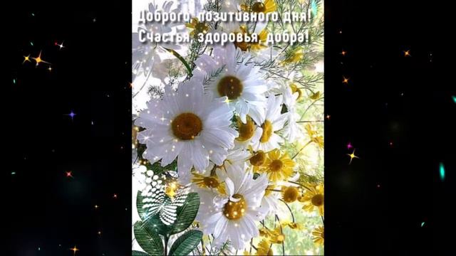 Доброе утро Елена Голицына Пять тысяч миль смотреть онлайн