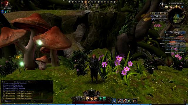 Neverwinter - Правильная настройка графики смотреть онлайн