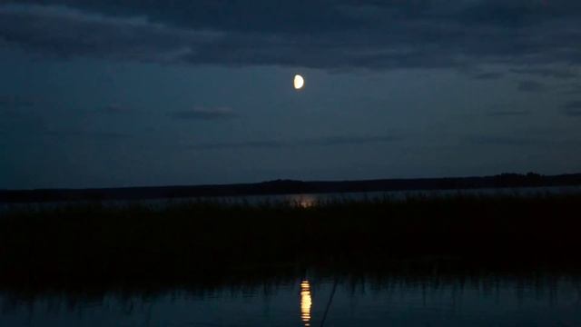 Nikon D3100 Тест видео съёмки №4. смотреть онлайн