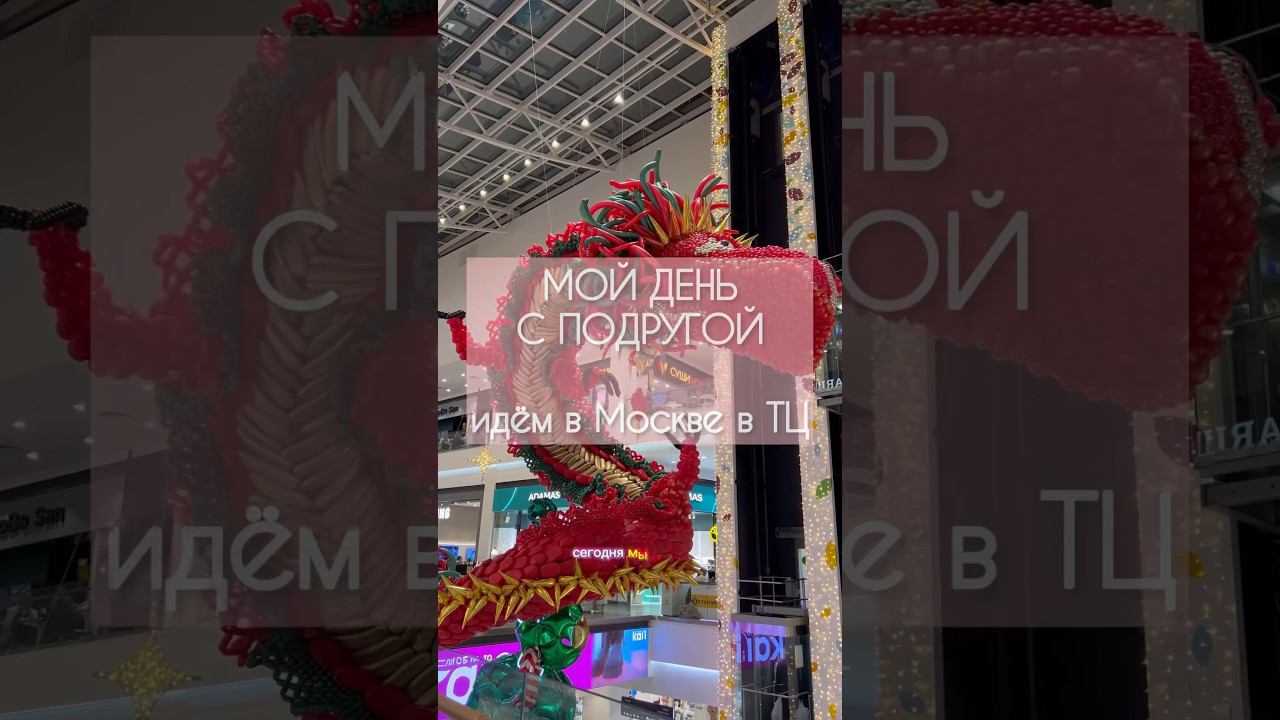 ВЛОГ:мой день с подругой в Москве #влог #wildberries #буднистудентки #мойденьпочасам #москва #вб смотреть онлайн