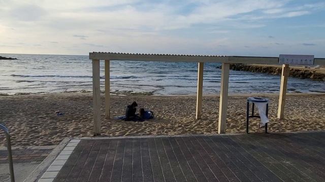 ХАЙФА. Бат Галим. Прогулка по набережной. Vlog смотреть онлайн