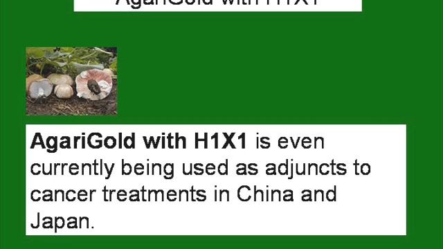 An Agaricus Blazei Extract Medicinal Mushroom смотреть онлайн