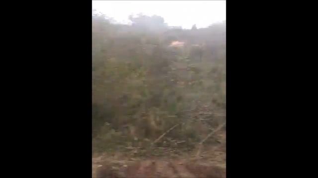 Солнечногорск лес рубят под полигон, старую свалку не рекультивируют смотреть онлайн