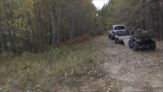 Канадские отшельники. Часть 434. Бруснично-мятные дела. смотреть онлайн