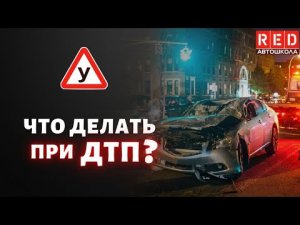 Порядок действий водителя при ДТП! Смотри и СОХРАНЯЙ
